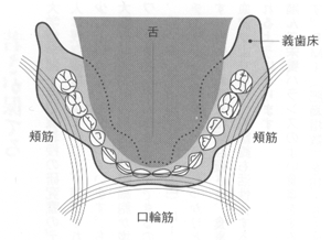 舌